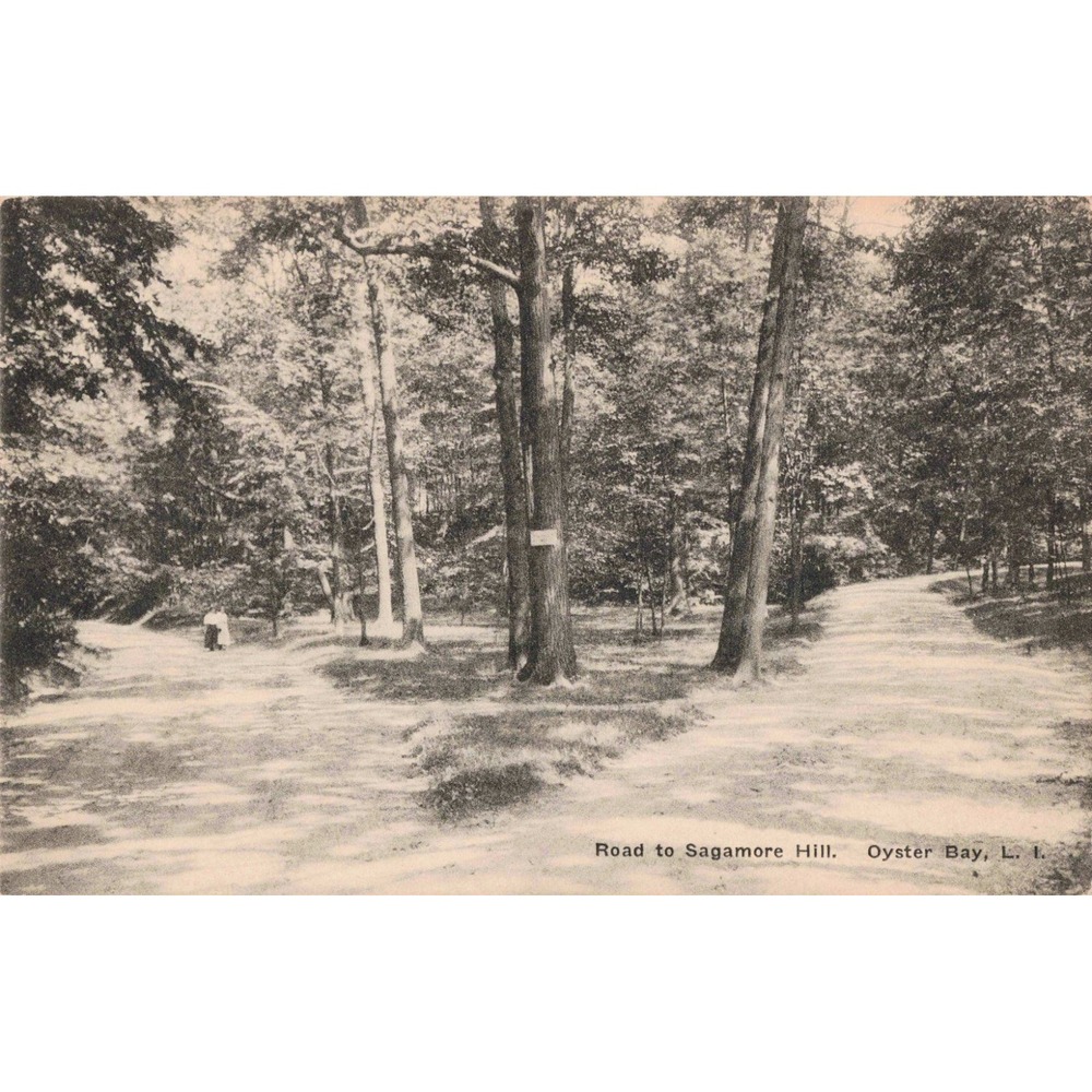 Vintage Road to Sagamore Hill Oyster Bay Long Island NY Postcard Albertype Co - Picture 1 of 2